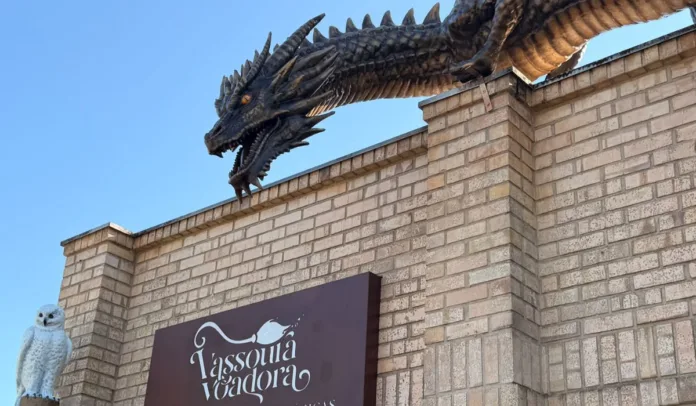 Vassoura Voadora Pomerode